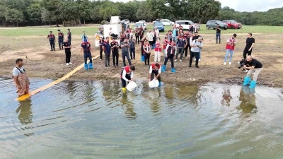 İstanbul’daki göletlere 3,7 milyon yerli üretim sazan yavrusu bırakıldı
