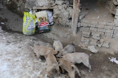 İstanbul&rsquo;dan Erzurum&rsquo;a uzanan yardım eli
