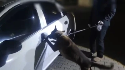 İstanbul&rsquo;dan takibe alındılar, Sakarya&rsquo;da yakalandılar: 2 kişi tutuklandı
