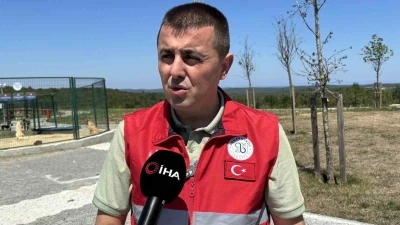 İstanbul Valiliği’nin talimatı sonrası Arnavutköy’de sahipsiz hayvanlar toplanmaya başlandı
