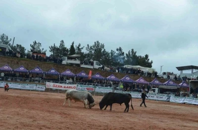 İzmir&rsquo;de 3. Boğa G&uuml;reşleri Festivali heyecanı yaşandı
