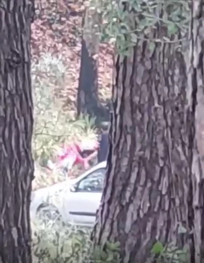 İzmir’de bir kadın ormanlık alanda darbedildi
