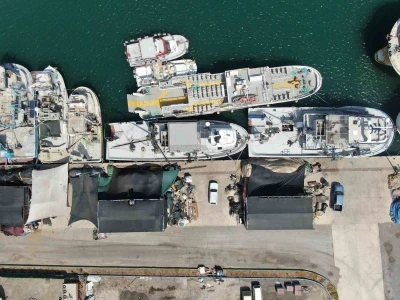 İzmir’de deniz kirliliği balığı vurdu: Sardalyasız sezon kapıda
