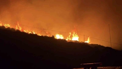 İzmir&rsquo;de makilik alanda yangın
