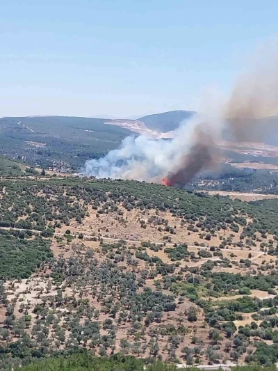 İzmir&rsquo;de orman yangınına havadan ve karadan m&uuml;dahale
