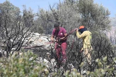 İzmir&rsquo;de ormanlık alanda &ccedil;ıkan yangın erken m&uuml;dahaleyle kontrol altında
