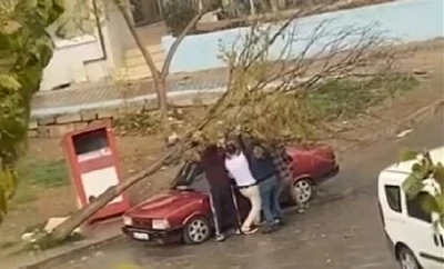 İzmir’de park halindeki otomobilin üzerine ağaç devrildi
