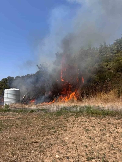 İzmir Menderes’te orman yangını
