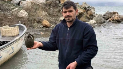 İznik G&ouml;l&uuml;&rsquo;nde balık&ccedil;ıların ağına k&uuml;p takıldı
