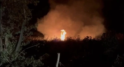 İznik’te korkutan yangın
