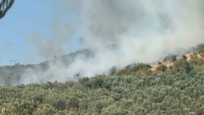 İznik’te orman yangını
