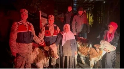 Jandarma çalınan hayvanları sahibine teslim etti
