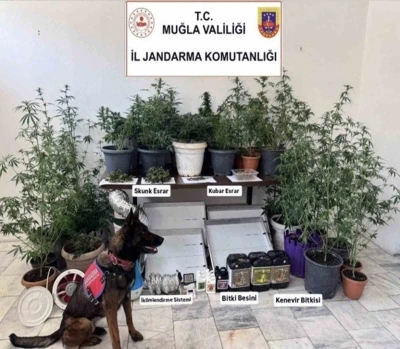 Jandarma ekiplerinin uyuşturucu ve sahte alkol denetimleri s&uuml;r&uuml;yor
