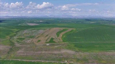 Jandarma eşliğinde ektiği 250 d&ouml;n&uuml;m tarla iddiaya g&ouml;re akrabaları tarafından ila&ccedil;lanarak kurutuldu
