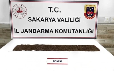 Jandarma uyuşturucuya ge&ccedil;it vermiyor: 1 tutuklama
