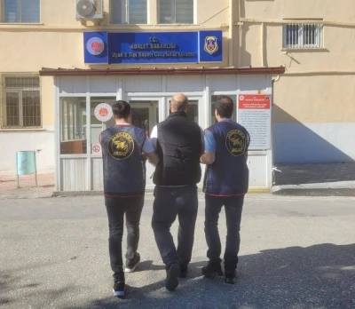 Jandarmadan aranan şahıslara yönelik operasyon
