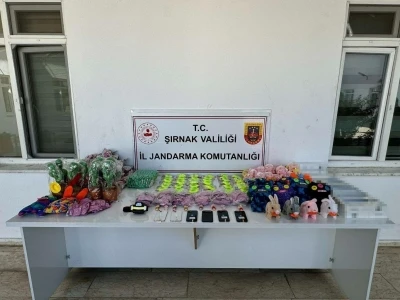 Jandarmadan kaçakçılık operasyonu: 98 şüpheli hakkında yasal işlem yapıldı
