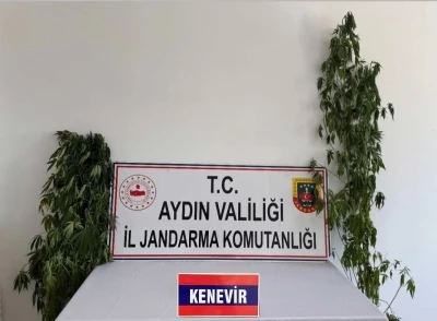 Jandarmadan uyuşturucu operasyonu: 12 şüpheli yakalandı

