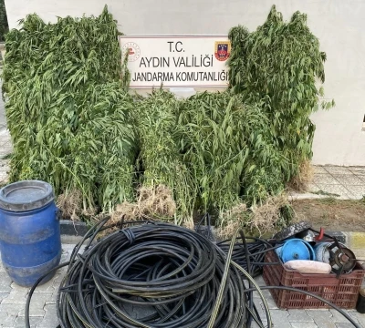 Jandarmadan uyuşturucu operasyonu: 17 yakalama
