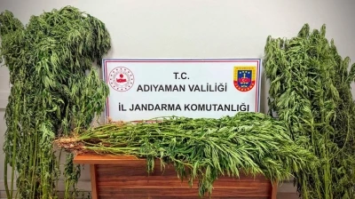 Jandarmadan uyuşturucu operasyonu: 9 gözaltı
