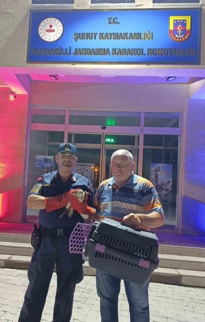 Jandarmanın bulduğu yaralı Kocagöz koruma altına alındı
