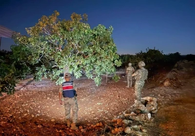Jandarmanın fıstık nöbeti başladı
