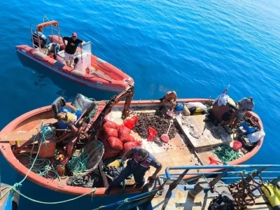 Kaçak avlanan 600 kilo midye tekrar denize bırakıldı
