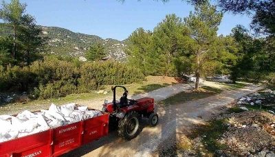 Ka&ccedil;ak d&ouml;k&uuml;m yapanlar fotokapandan ka&ccedil;amadı
