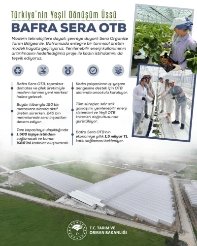 Kadın eliyle yeşeren tarım: Bafra Sera OTB, yıllık 1,5 milyar liralık katkı sunacak
