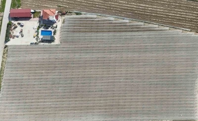 Kadın girişimciden tarımda akılcı &ccedil;&ouml;z&uuml;m

