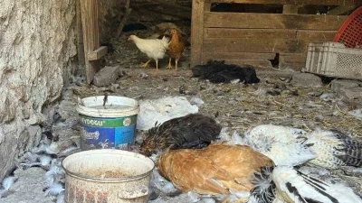 Kadın girişimcinin 22 yıllık emeği bir gecede yok oldu
