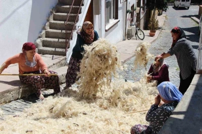 Kadın muhtar başlattı: Yünleri imece usulü havalandırıyorlar
