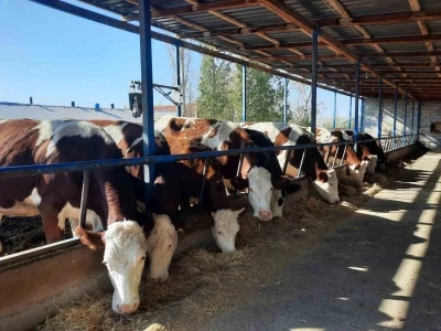 Kadınlara verilen destekler, meyvelerini vermeye başladı
