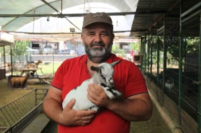 Kafasındaki poşetle sürüye kabusu yaşatan keçinin sahibi: &quot;Poşetin içinde küçük bir delik açmış oradan nefes alabiliyordu&quot;
