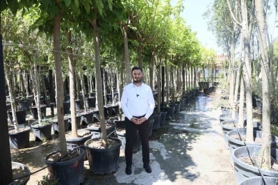 Kağıthane’ye 50 bin ağaç ve 1 milyon metrekare yeşil alan kazandırıldı
