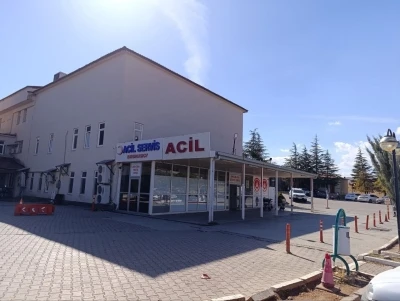 Kahramanmaraş’ta arının soktuğu çocuk hayatını kaybetti
