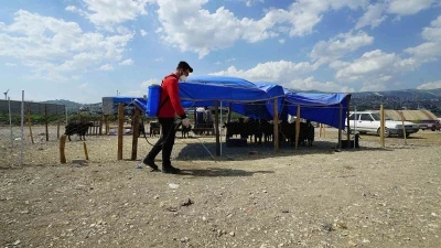 Kahramanmaraş&rsquo;ta bayram temizliği ve ila&ccedil;lama &ccedil;alışmaları s&uuml;r&uuml;yor
