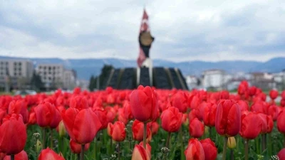 Kahramanmaraş&rsquo;ta kavşaklarda g&ouml;rsel ş&ouml;len
