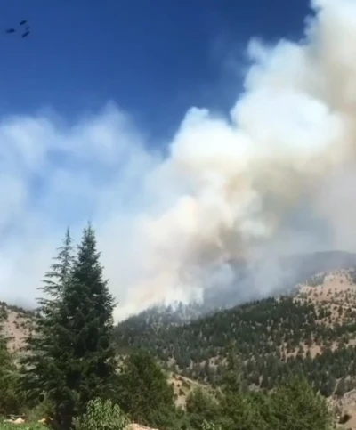 Kahramanmaraş’ta orman yangını
