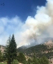 Kahramanmaraş'ta orman yangını!