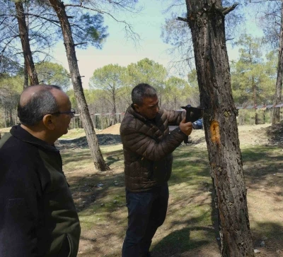 Kahramanmaraş&rsquo;ta orman zararlılarına karşı m&uuml;cadele sahada incelendi
