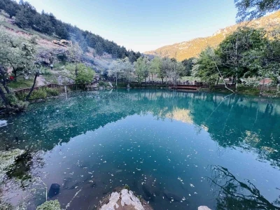 Kahramanmaraş&rsquo;ta "Yeşilg&ouml;z" g&ouml;z kamaştırıyor
