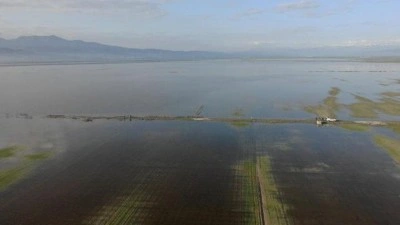 Kahramanmaraş'ta sağanak yağış vurgunu! 20 bin d&ouml;n&uuml;m arazi sular altında