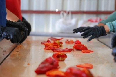 Kahramanmaraş’ta salça telaşı başladı: Tarladan pazara, pazardan sofralara uzanan yolculuk
