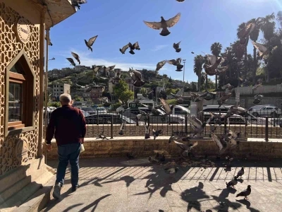 Kahramanmaraş&rsquo;ta taksici esnafının yol arkadaşı g&uuml;vercinler
