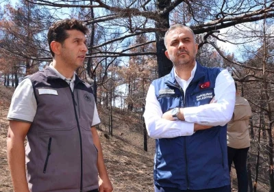 Kahramanmaraş’ta  yanan ormanlık alanlar fidanlarla buluşturulacak
