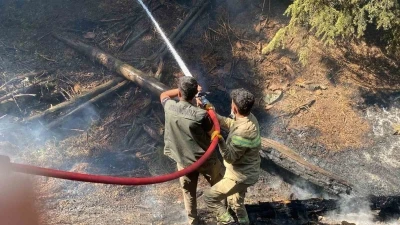 Kahramanmaraş’taki orman yangını kontrol altına alındı
