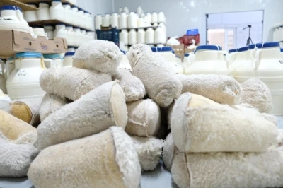 Kahvaltı sofralarına 3 bin rakımdan gelen lezzet: Erzincan tulum peyniri
