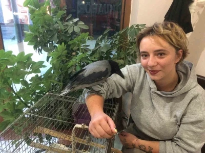 Kahvehane bağımlısı karga mahallenin maskotu haline geldi
