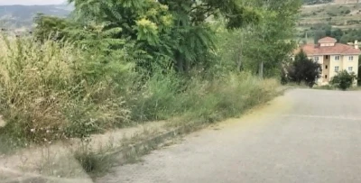 Kaldırımları otlar kaplayınca vatandaşların yılan korkusu başladı
